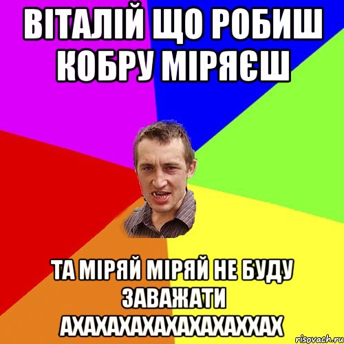 Віталій що робиш кобру міряєш та міряй міряй Не буду заважати ахахахахахахахаххах, Мем Чоткий паца