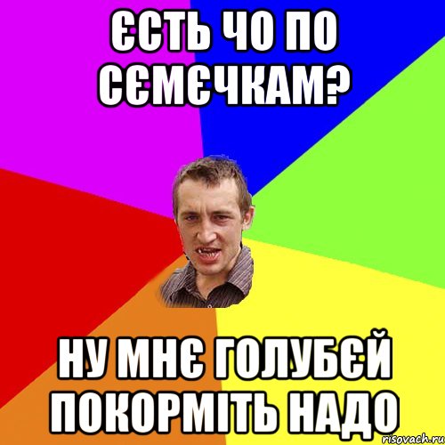 єсть чо по сємєчкам? ну мнє голубєй покорміть надо, Мем Чоткий паца