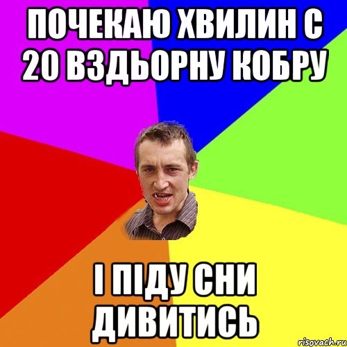 почекаю хвилин с 20 вздьорну кобру I пiду сни дивитись, Мем Чоткий паца