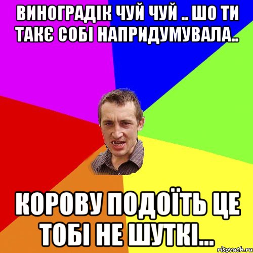 Виноградік чуй чуй .. шо ти такє собі напридумувала.. корову подоїть це тобі не шуткі..., Мем Чоткий паца