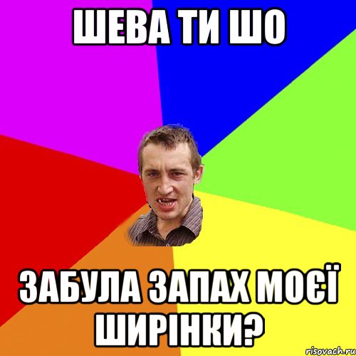 шева ти шо забула запах моєї ширінки?, Мем Чоткий паца