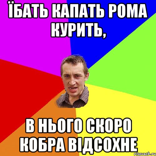 їбать капать рома курить, в нього скоро кобра відсохне, Мем Чоткий паца