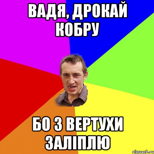 ВАДЯ, ДРОКАЙ КОБРУ БО З ВЕРТУХИ ЗАЛІПЛЮ, Мем Чоткий паца