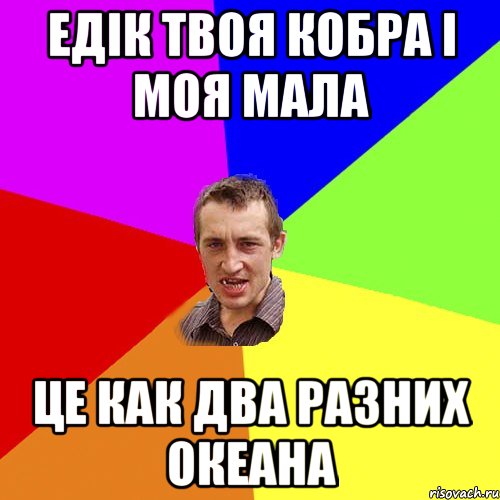 едік твоя кобра і моя мала це как два разних океана, Мем Чоткий паца