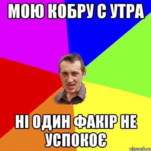 МОЮ КОБРУ С УТРА НІ ОДИН ФАКІР НЕ УСПОКОЄ, Мем Чоткий паца