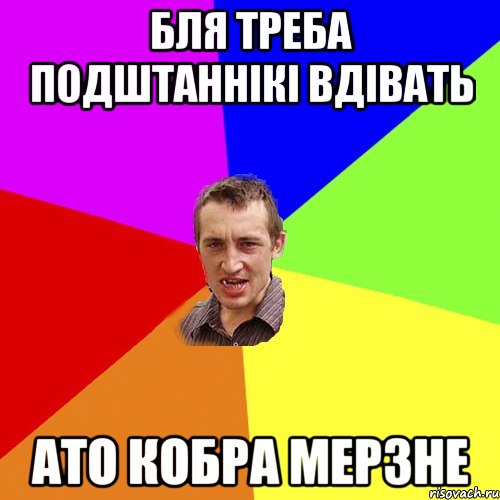 Бля треба подштаннікі вдівать ато кобра мерзне, Мем Чоткий паца