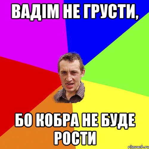 Вадім не грусти, бо КОБРА не буде рости, Мем Чоткий паца