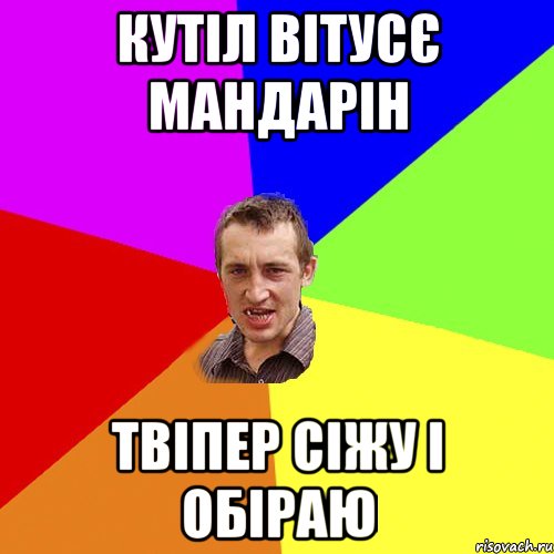 кутіл Вітусє мандарін твіпер сіжу і обіраю, Мем Чоткий паца