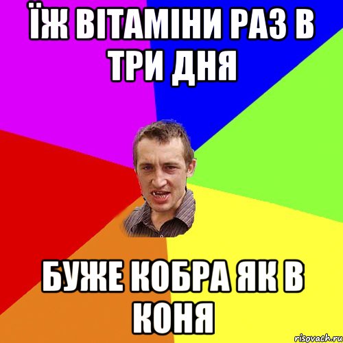 їж вітаміни раз в три дня буже кобра як в коня, Мем Чоткий паца