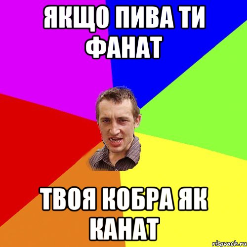 якщо пива ти фанат твоя кобра як канат, Мем Чоткий паца