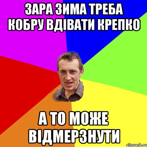 зара зима треба кобру вдівати крепко а то може відмерзнути, Мем Чоткий паца