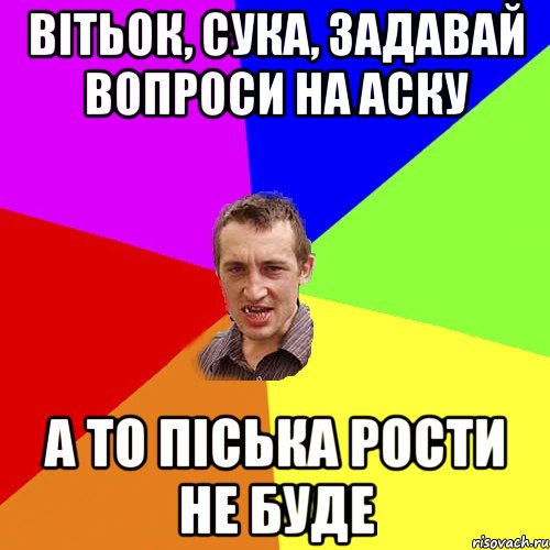 Вітьок, сука, задавай вопроси на аску а то піська рости не буде, Мем Чоткий паца