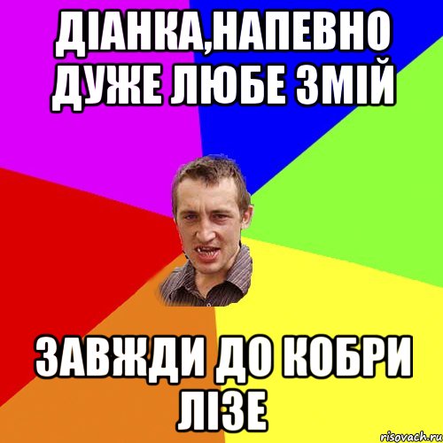 Діанка,напевно дуже любе змій завжди до кобри лізе, Мем Чоткий паца