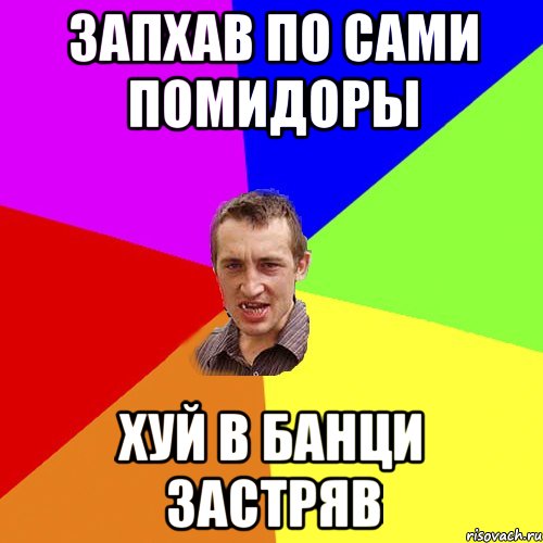 запхав по сами помидоры хуй в банци застряв, Мем Чоткий паца