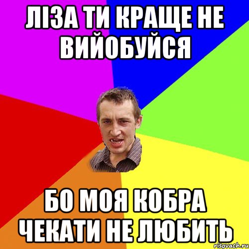 Ліза ти краще не вийобуйся бо моя кобра чекати не любить, Мем Чоткий паца