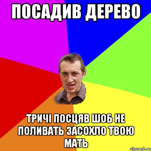 посадив дерево тричі посцяв шоб не поливать засохло твою мать, Мем Чоткий паца