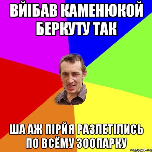 вйібав каменюкой беркуту так ша аж пірйя разлетілись по всёму зоопарку, Мем Чоткий паца