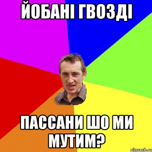 йобані гвозді пассани шо ми мутим?, Мем Чоткий паца