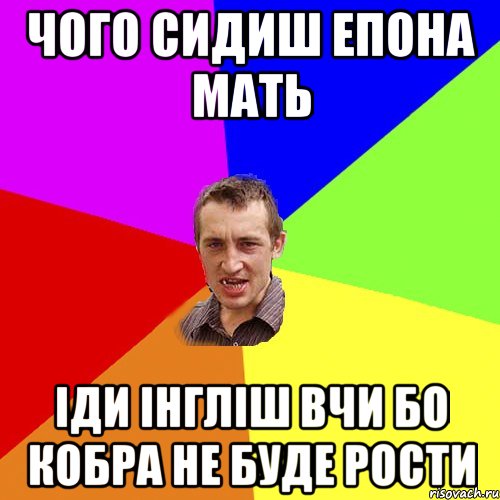 чого сидиш епона мать іди інгліш вчи бо кобра не буде рости, Мем Чоткий паца