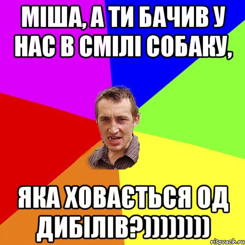 Міша, а ти бачив у нас в смілі собаку, яка ховається од дибілів?)))))))), Мем Чоткий паца
