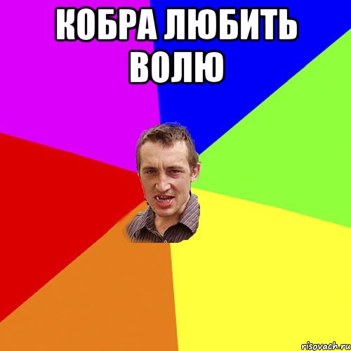 Кобра любить волю , Мем Чоткий паца