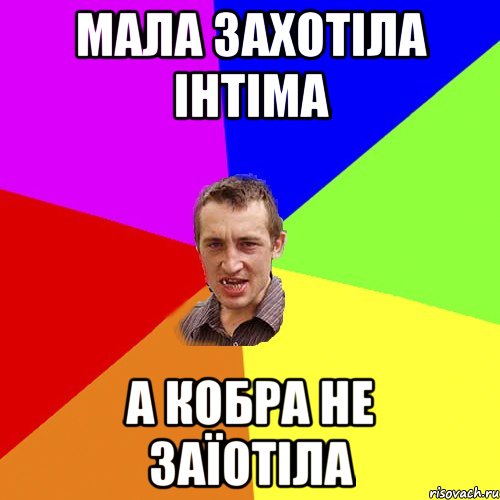 МАЛА ЗАХОТІЛА ІНТІМА А КОБРА НЕ ЗАЇОТІЛА, Мем Чоткий паца