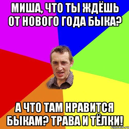 Миша, что ты ждёшь от нового года быка? А что там нравится быкам? Трава и тёлки!, Мем Чоткий паца