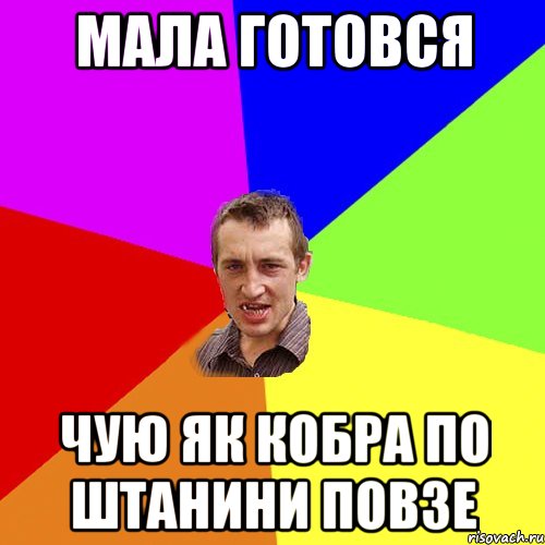 Мала готовся чую як кобра по штанини повзе, Мем Чоткий паца