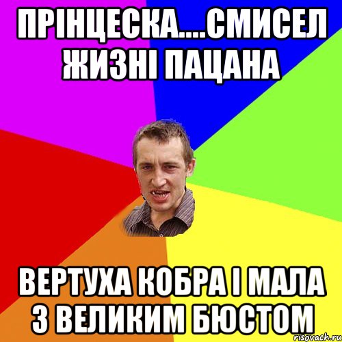 Прінцеска....смисел жизні пацана Вертуха кобра і мала з великим бюстом, Мем Чоткий паца