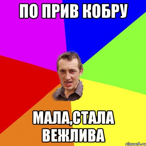 По прив кобру Мала,стала вежлива, Мем Чоткий паца