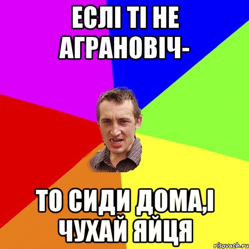 еслі ті не аграновіч- то сиди дома,і чухай яйця, Мем Чоткий паца