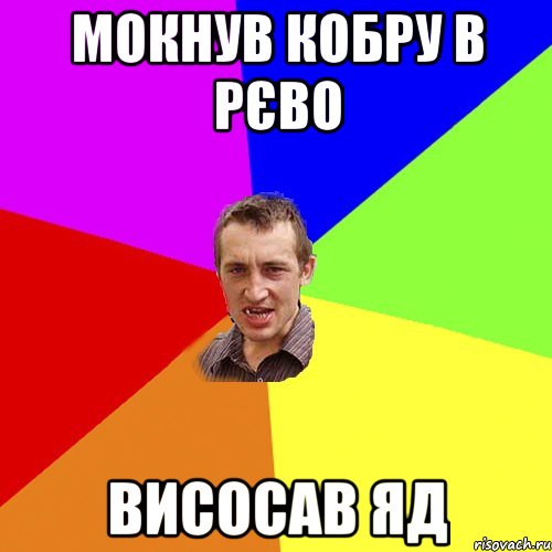 Мокнув кобру в рєво висосав яд, Мем Чоткий паца