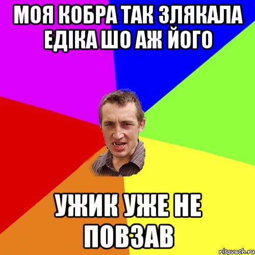 моя кобра так злякала Едіка шо аж його ужик уже не повзав, Мем Чоткий паца