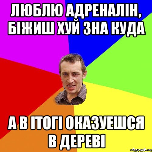 Люблю адреналін, біжиш хуй зна куда а в ітогі оказуешся в дереві, Мем Чоткий паца