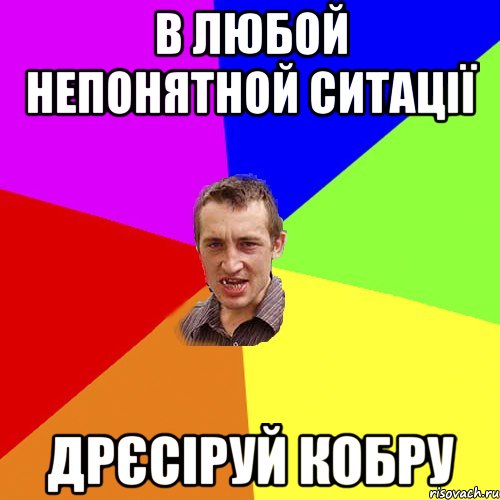 в любой непонятной ситації дрєсіруй кобру, Мем Чоткий паца