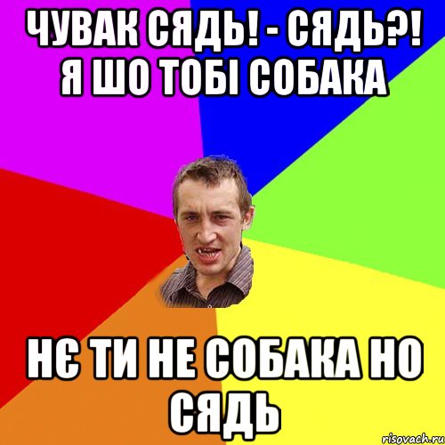 Чувак сядь! - сядь?! Я шо тобі собака Нє ти не собака но сядь, Мем Чоткий паца