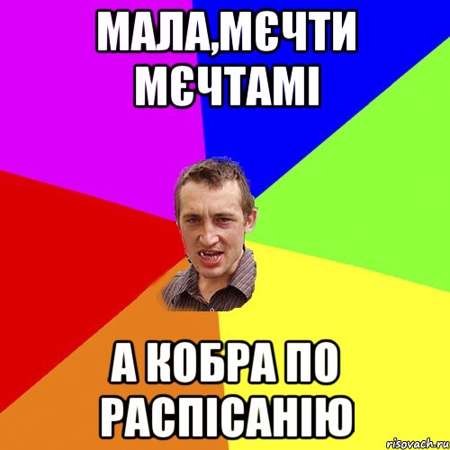 мала,мєчти мєчтамі а кобра по распісанію, Мем Чоткий паца