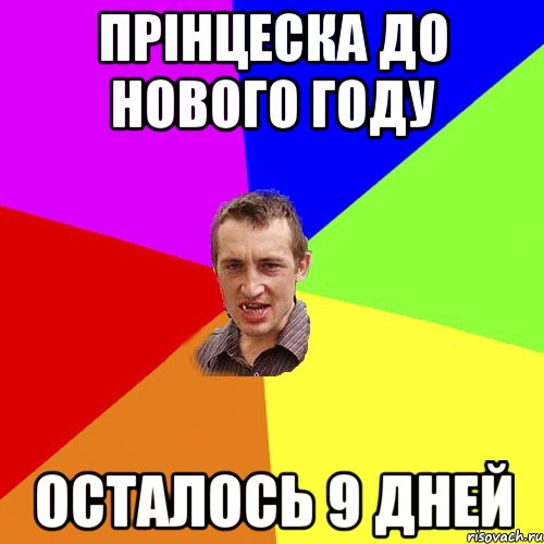 Прінцеска до нового Году осталось 9 дней, Мем Чоткий паца