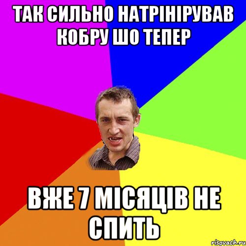 Так сильно натрінірував кобру шо тепер вже 7 місяців не спить, Мем Чоткий паца