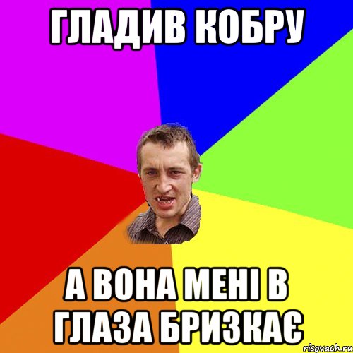 гладив кобру а вона мені в глаза бризкає, Мем Чоткий паца