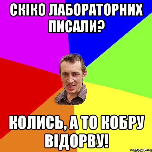 Скіко лабораторних писали? Колись, а то кобру відорву!, Мем Чоткий паца