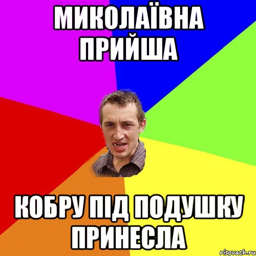 МИКОЛАЇВНА ПРИЙША КОБРУ ПІД ПОДУШКУ ПРИНЕСЛА, Мем Чоткий паца