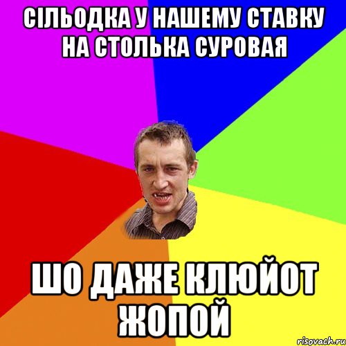 Сільодка у нашему ставку на столька суровая шо даже клюйот жопой, Мем Чоткий паца