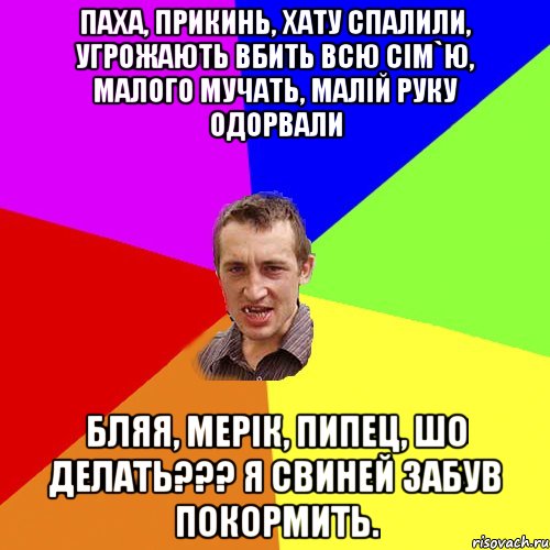 Паха, прикинь, хату спалили, угрожають вбить всю сім`ю, малого мучать, малій руку одорвали Бляя, Мерік, пипец, шо делать??? Я свиней забув покормить., Мем Чоткий паца