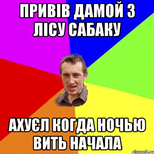 привів дамой з лісу сабаку ахуєл когда ночью вить начала, Мем Чоткий паца