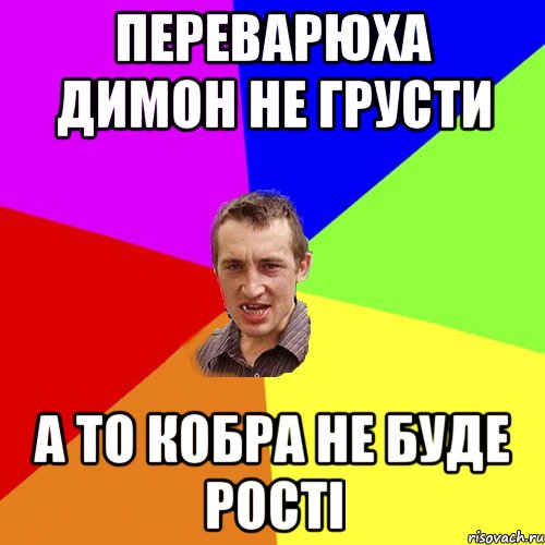 Переварюха Димон не грусти а то кобра не буде рості, Мем Чоткий паца