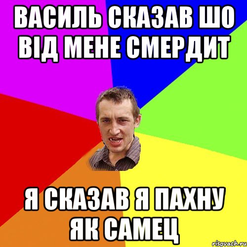 василь сказав шо від мене смердит я сказав я пахну як самец, Мем Чоткий паца