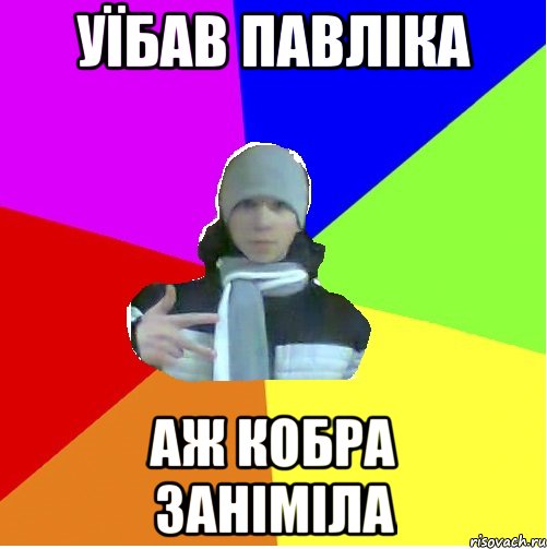 Уїбав Павліка аж кобра заніміла