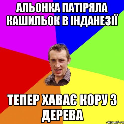 Альонка патіряла кашильок в інданезії тепер хаває кору з дерева, Мем Чоткий паца