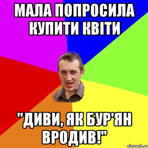 Мала попросила купити квіти "Диви, як бур'ян вродив!", Мем Чоткий паца